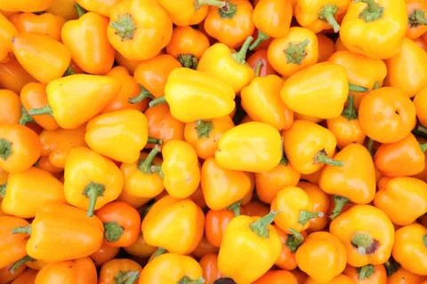 Grape tomato Stock Photos