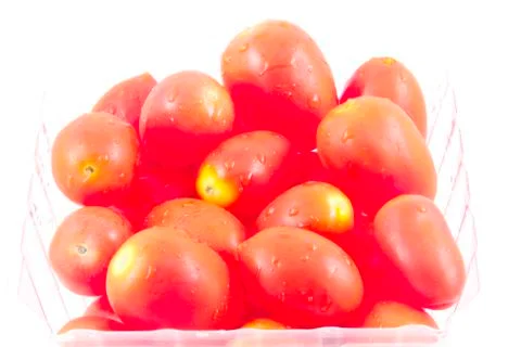 Grape tomatoes isolated Фото