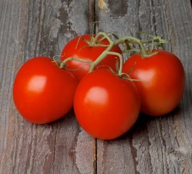 Grape tomatoes Stock Photos