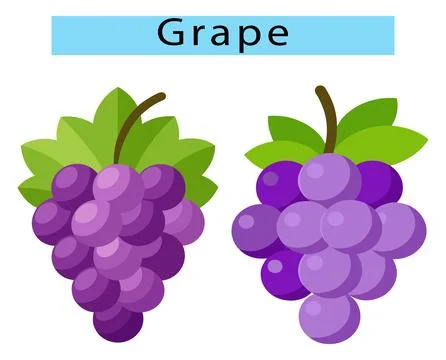 Grape vector art, Grape icon, Grape fruit clipart 스톡 일러스트