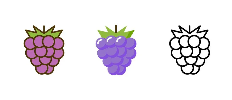 Grape vector bunch logo icon, Wine grape illustration silhouette fruit flat vine Stock Illustration