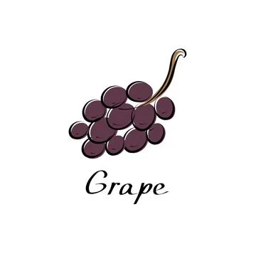 Grape vector cartoon flat illustration. Vine bunch. Fresh berry fruit and veg Stock Illustration