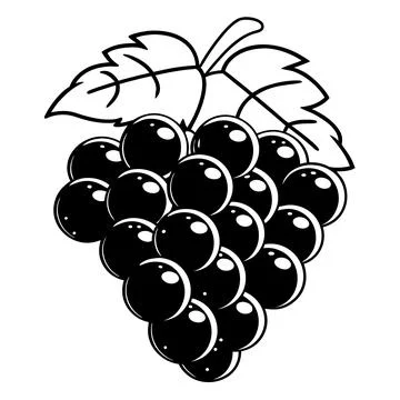 Grape Vector Illustration Cute Flat Fruit Design (2) vector illustration de.. Stock Illustration
