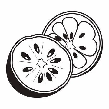 Grape Vector Illustration Cute Flat Fruit Design vector illustration design 1 Stock Illustration