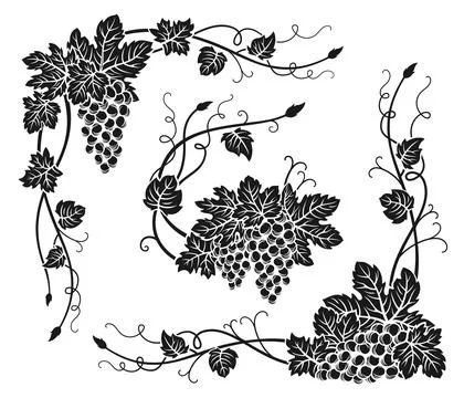 Grape vine corner bunches engraved set vintage wine grapes border berry antique Stock Illustration