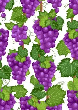 Grape vine seamless pattern and leaves on white background, Fresh organic foo Illustrazione stock