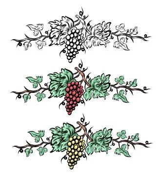 Grape vine set elements . Vintage  hand drawn wine decorations border, flor.. Ilustração Stock
