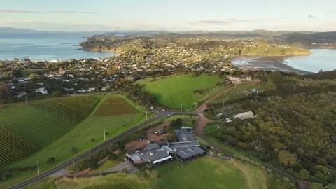 Grape vineyard near the coast during sunset in oneroa village in waiheke island Stock Footage 326033605
