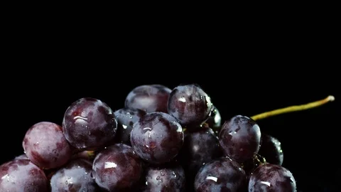 Grape-water 01 Stock Footage 103216427