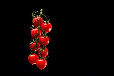 Grape of wet cherry tomatoes levitating Stock Photos