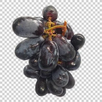 Grape on white background 1 Stock Photos