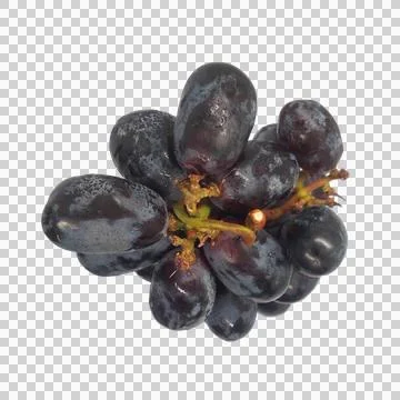 Grape on white background 2 Stock Photos