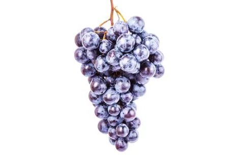 Grape on white background Stock Photos
