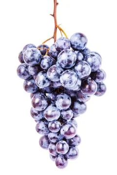 Grape on white background 스톡 사진