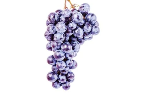 Grape on white background Stock Photos