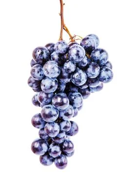 Grape on white background Stock Photos