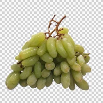 Grape on white background Stock Photos
