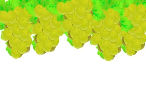 Grape white grape Stock Illustration