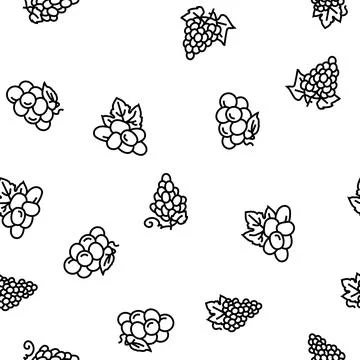 Grape wine bunch fruit green vector seamless pattern Illustrazione stock
