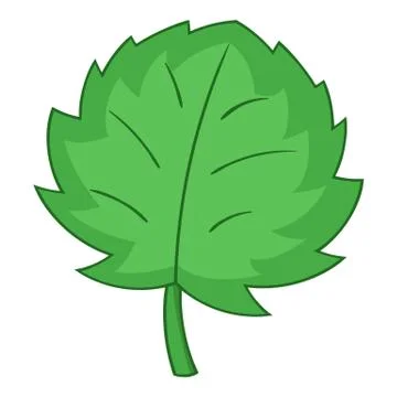 Grape wine leaf icon, cartoon style イラスト素材