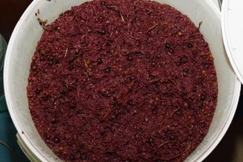 Grape wine Foto stock