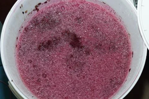 Grape wine Foto stock