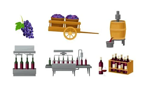 Grape Wine Production with Alcoholic Fermentation and Pouring in Bottles Process Stock Illustration