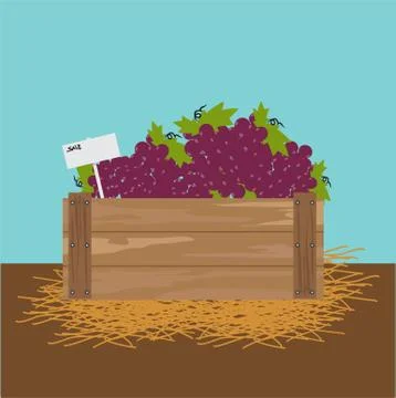 Grape in a wooden crate. 스톡 일러스트
