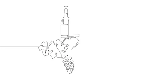 Grape wreath with wine bottles. Stock Footage 246137685