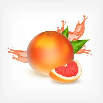 Grapefruiit with slice Illustrazione stock