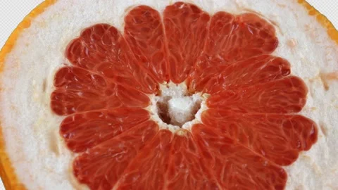 Grapefruit (alpha channel) 動画素材 235011804