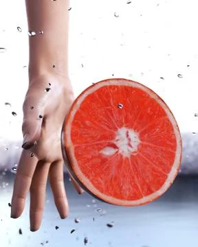 Grapefruit and lady Stock Illustration