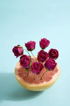 Grapefruit and red roses Stock Photos