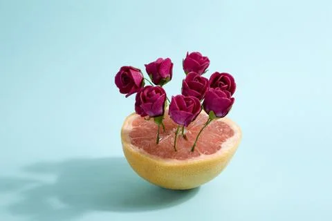 Grapefruit and red roses Stock Photos