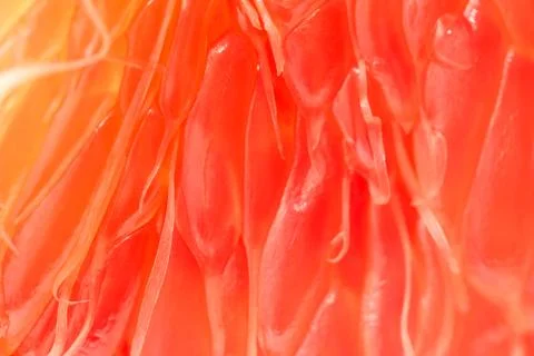 Grapefruit as a backdrop. macro Stock Photos
