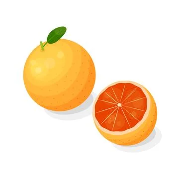 Grapefruit in cartoon style. Stock Illustration