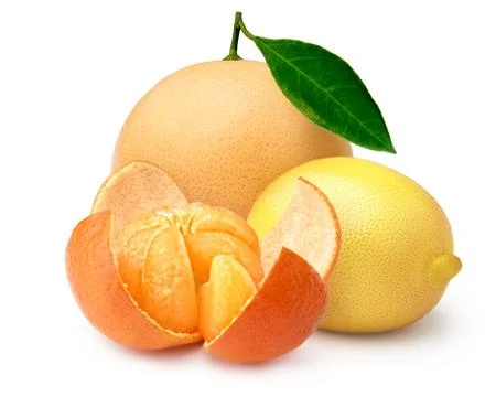 Grapefruit, clementine,lemon Stock Photos