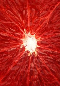 Grapefruit close-up Stock Photos