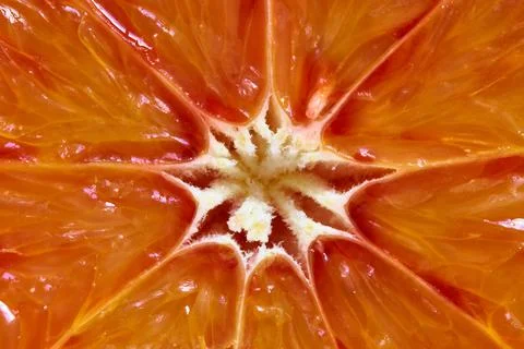 Grapefruit close up Stock Photos