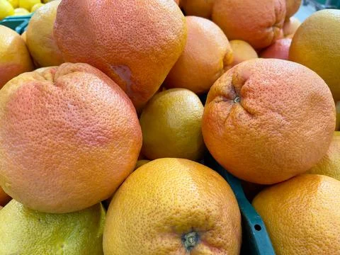 Grapefruit close-up. Showcase of grapefruits in the store. Stock Photos