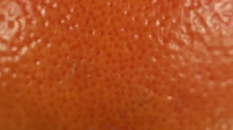 Grapefruit close up in studio 스톡 동영상 62017899