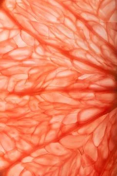 Grapefruit close up texture Stock Photos