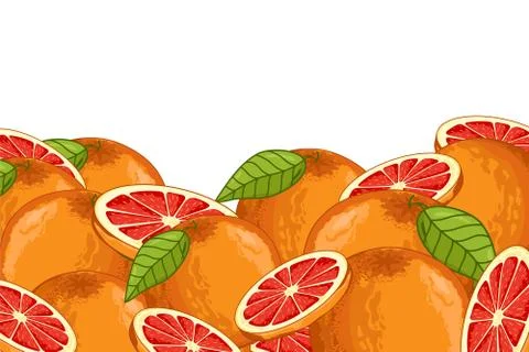 Grapefruit composition Isolated Stock Illustration