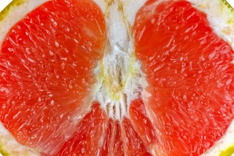 Grapefruit cut on a white background isolate Photos