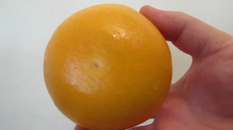 Grapefruit Video stock 10593459