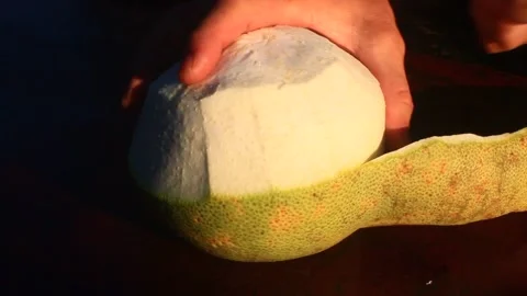 The grapefruit Stock Footage 291489048