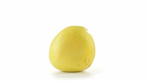 Grapefruit front view Vidéo 23729412