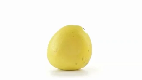 Grapefruit front view Stock-Footage 98247614