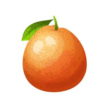 Grapefruit fruit cartoon vector illustration color sign Stock Illustration