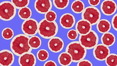 Grapefruit fruit motion design animation Stock Footage 169401741
